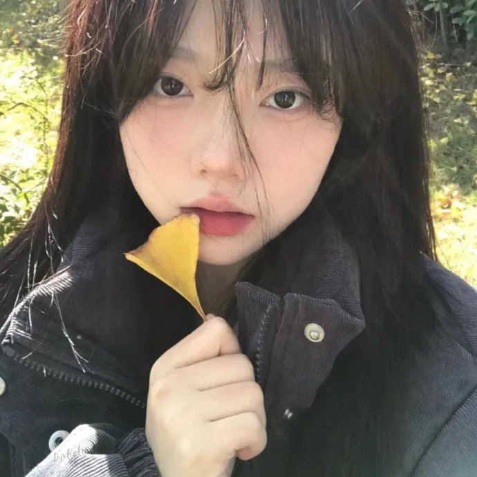 寻龙记
