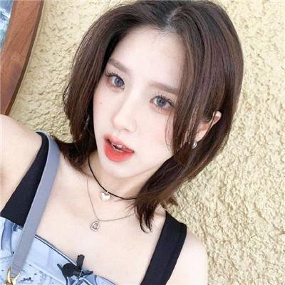 新灵犬莱西